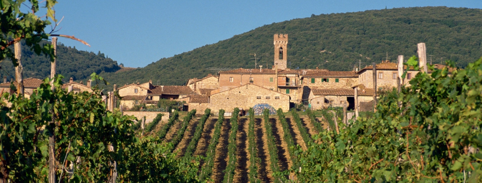 Andrea Bocelli Toscana Konseri ( Santa Margherita & Chianti) 