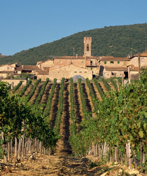 Andrea Bocelli Toscana Konseri ( Santa Margherita & Chianti) 