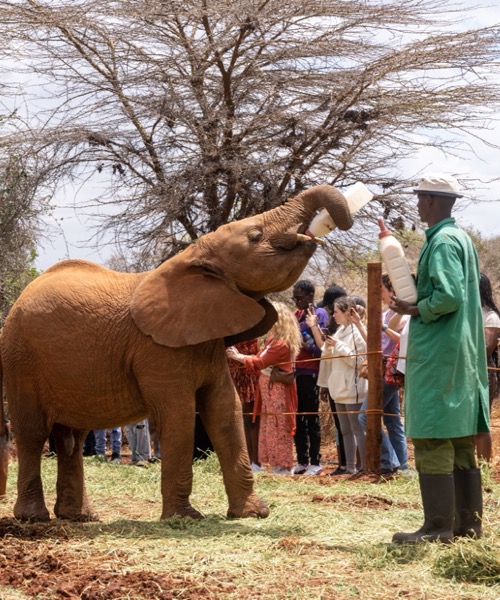 Kenya & Tanzanya & Zanzibar