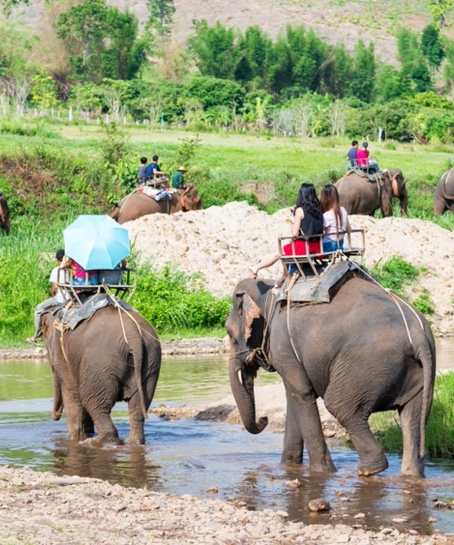 Mistik Uzakdou  Kuzey Tayland ( Chiang Rai - Chiang Mai ) & Phuket