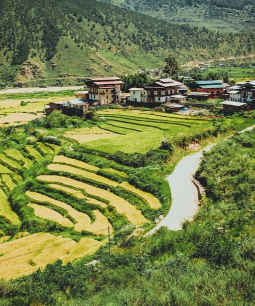 Renkli Festivaller  Nepal & Bhutan ( Nepal'de Holi ,Bhutan'da Tscheu Festivali)