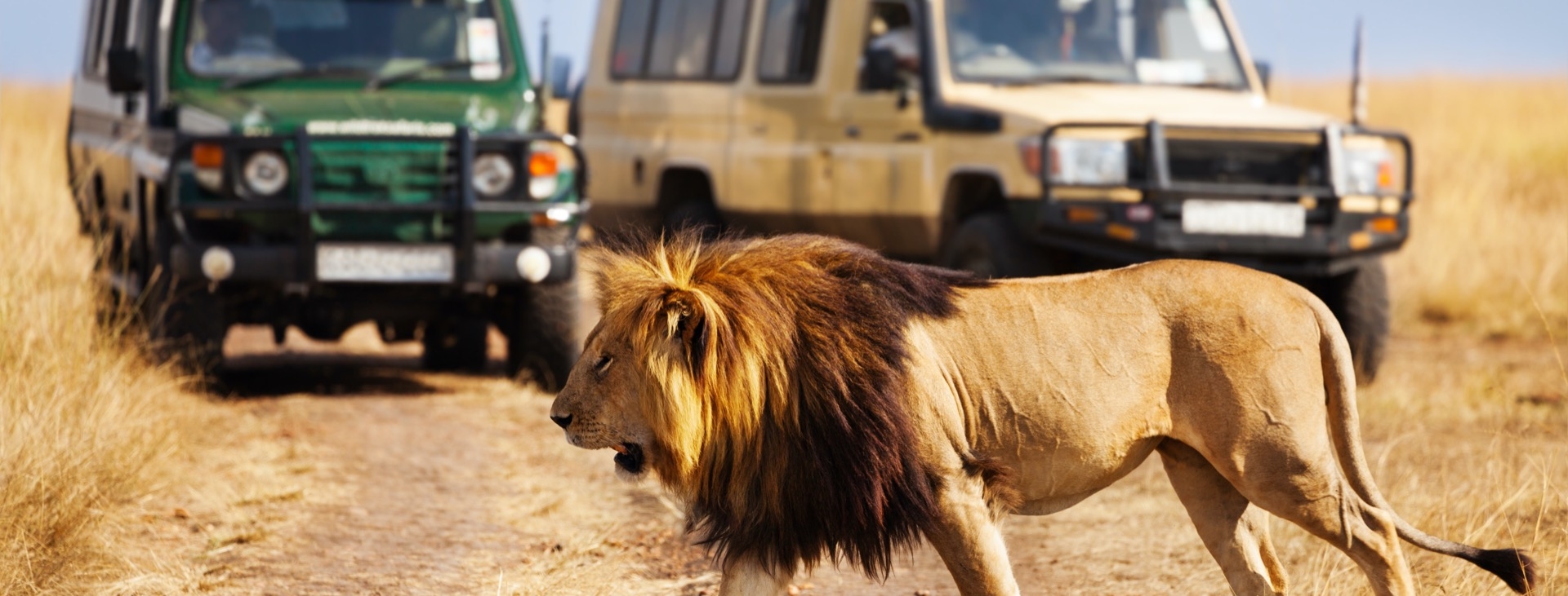 Kenya & Tanzanya & Zanzibar