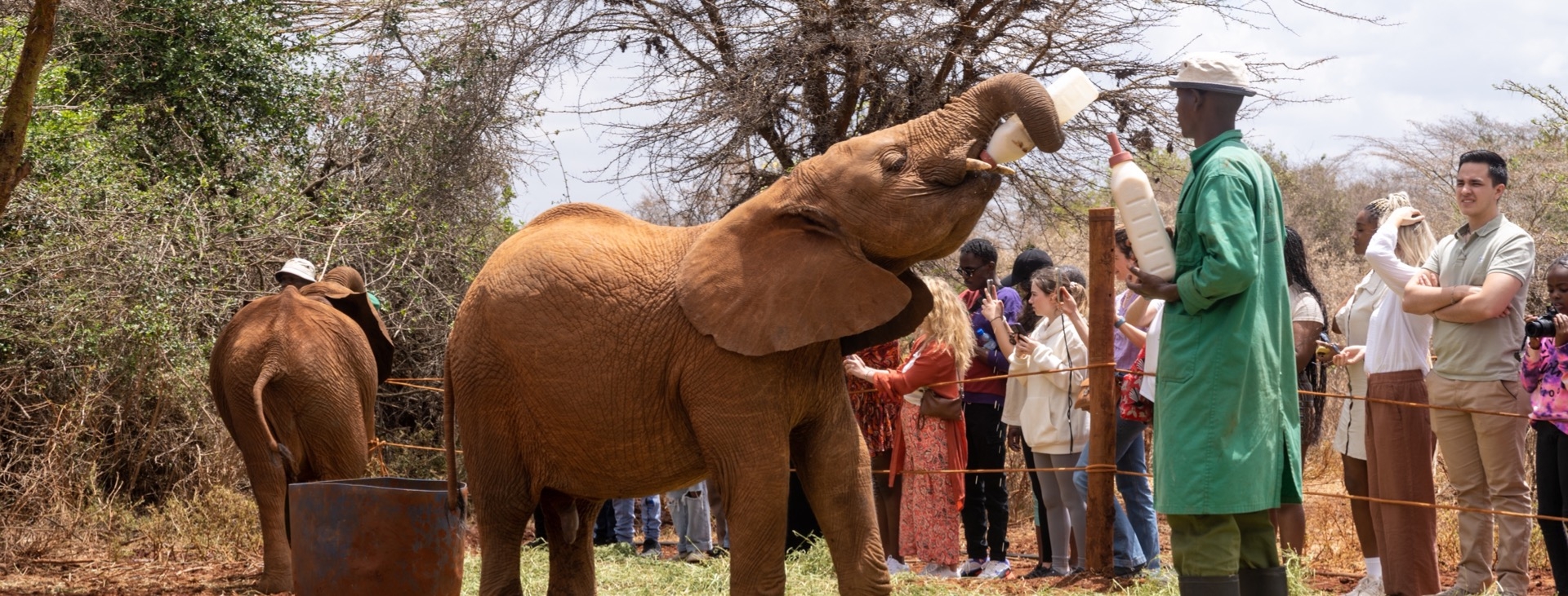 Kenya & Tanzanya & Zanzibar