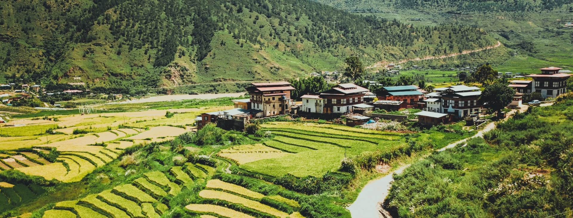 Renkli Festivaller  Nepal & Bhutan ( Nepal'de Holi ,Bhutan'da Tscheu Festivali)