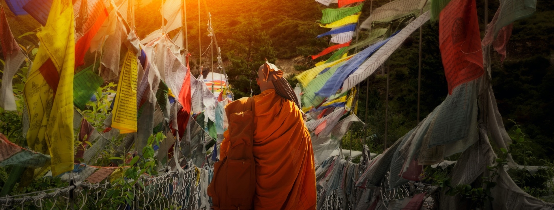 Renkli Festivaller  Nepal & Bhutan ( Nepal'de Holi ,Bhutan'da Tscheu Festivali)